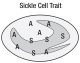 Sickle Cell Trait Cell