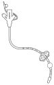 gastrostomy tube (g-tube)