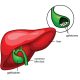 Gall bladder