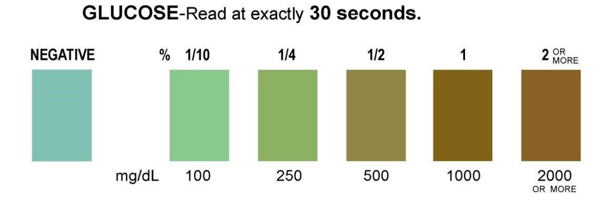 Glucose Result Chart