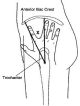 Hip site for injection
