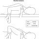 shoulder extension