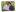 Legacy donors Hilda and Arnulfo Miramontes in an outdoor portrait taken at St. Jude.