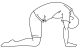 cat/cow yoga pose