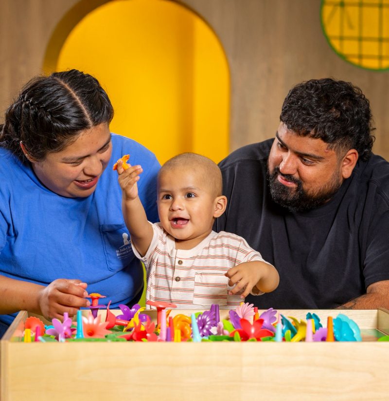 Online Donations St Jude Children S Research Hospital