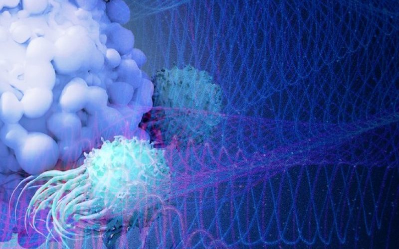 Harmonizing Immunotherapy: Tuning T Cells to Give Cancer the Blues - ImmunoMemphis Symposium