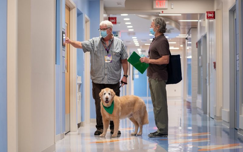 Doggy Daze Volunteer Opportunities St. Jude Children’s Research Hospital