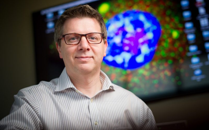 St. Jude scientists make prestigious list of Highly Cited Researchers