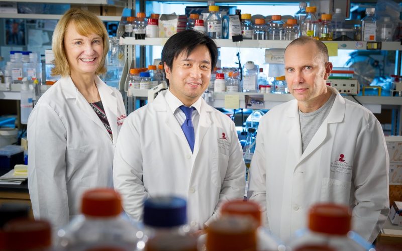 Newly discovered immune cell type protects against lung infections ...