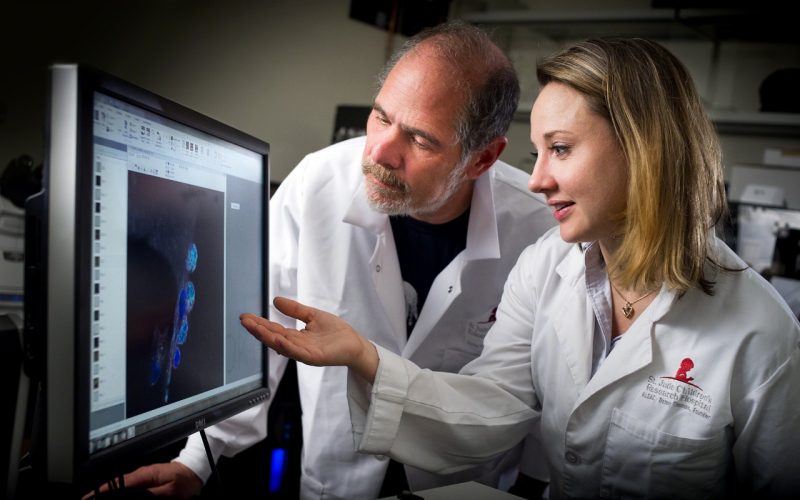 St. Jude researchers reveal how two types of immune cells can arise ...