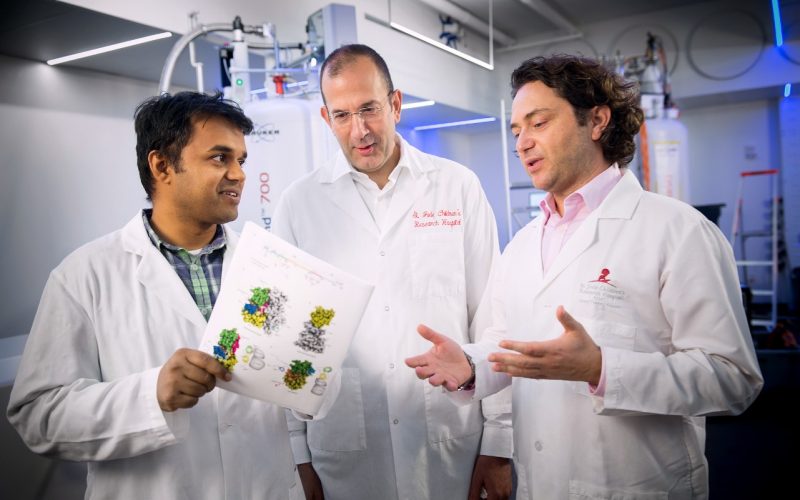 Researchers discover how enzyme 'shape-shifts' in drug-resistant ...