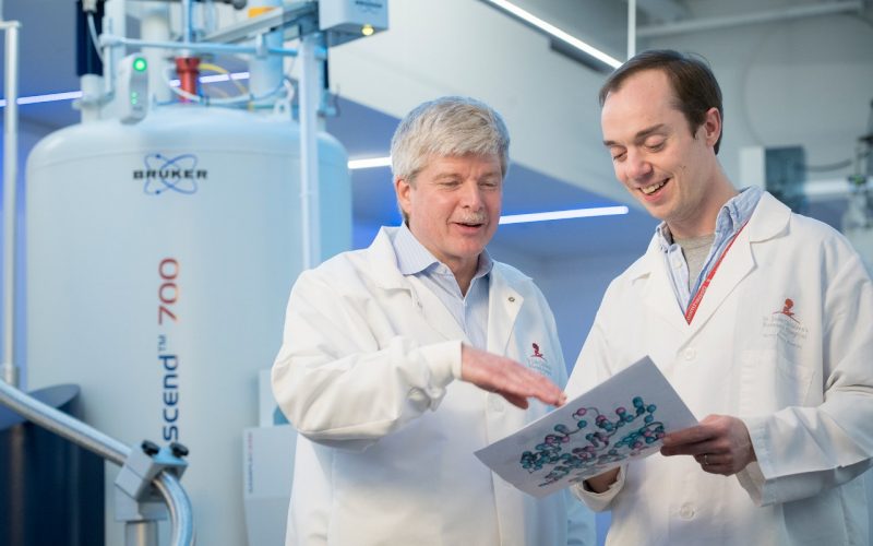 ‘Rheostat’ identified that helps regulate cell death versus survival