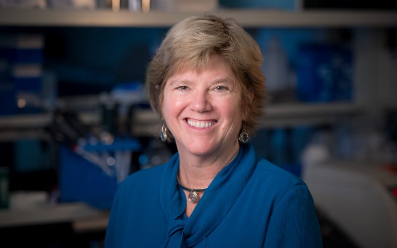 Erika Rudd St. Jude researchers awarded grant to lead pharmacogenetics ...