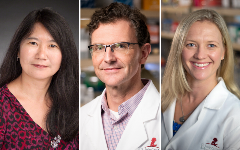 To wipe childhood cancer off the map, scientists must chart its genomic landscape St. Jude