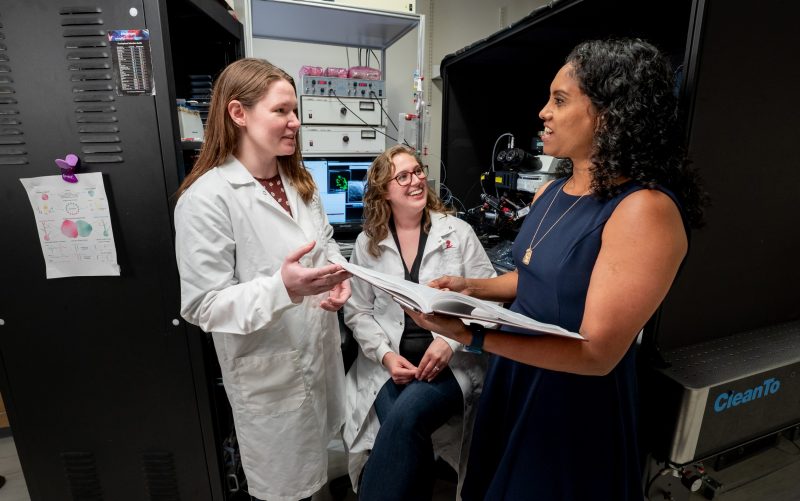 Labgrown human neuron assembloids effectively model synaptic