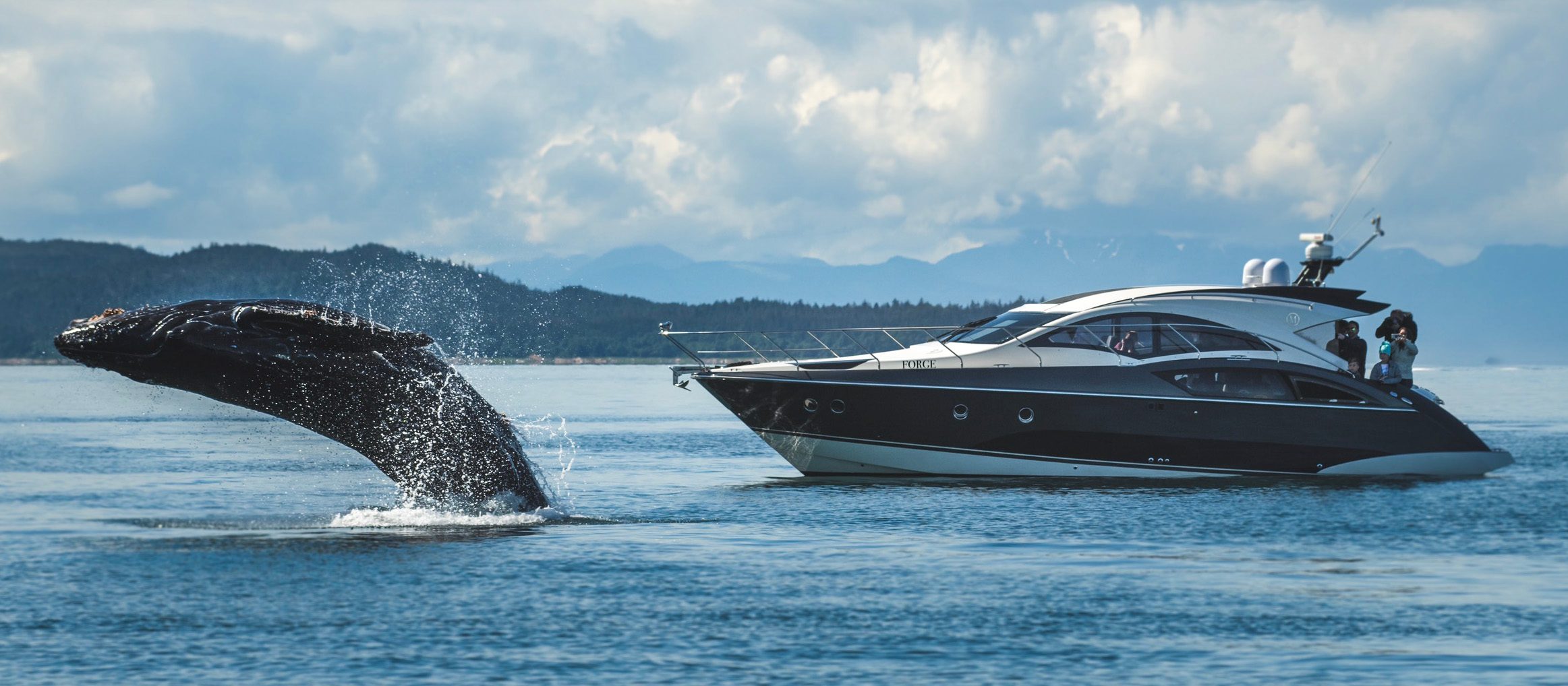 Whale breeching beside a whale-watching boat in Alaska.